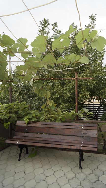 Nino'S Guest House Tbilisi Rom bilde
